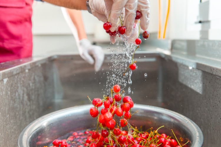 5 desinfetantes para superfícies em contacto com alimentos 5 desinfetantes para superfícies em contacto com alimentos