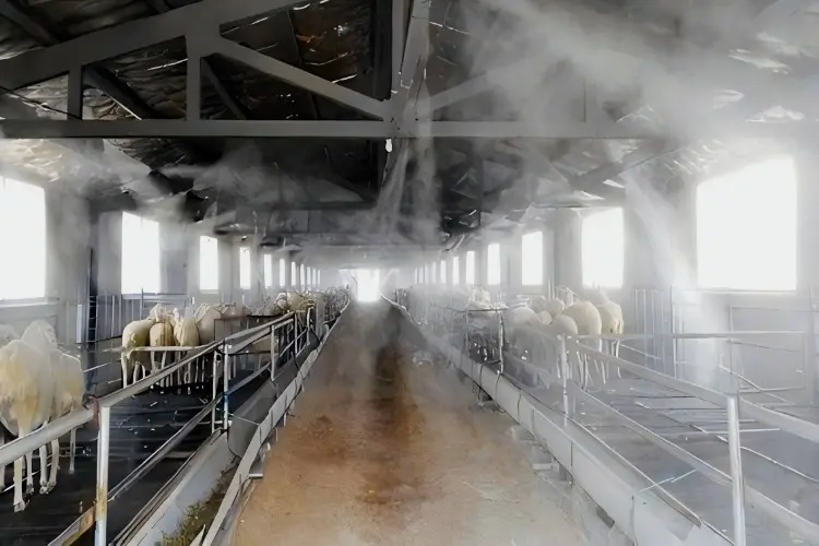 Hvorfor hypochloros syre er afgørende i husdyropdræt Hvorfor hypochloros syre er afgørende i husdyropdræt