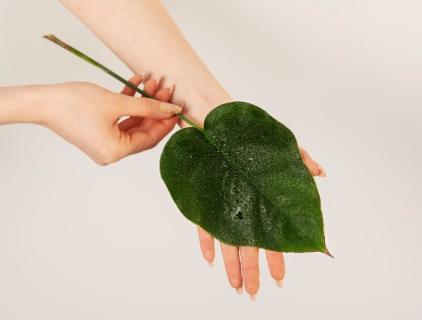 Can HOCl be used on skin