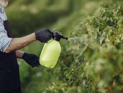 Is Hypochlorous Acid Safe for Plants? The Truth About HOCl in Gardening