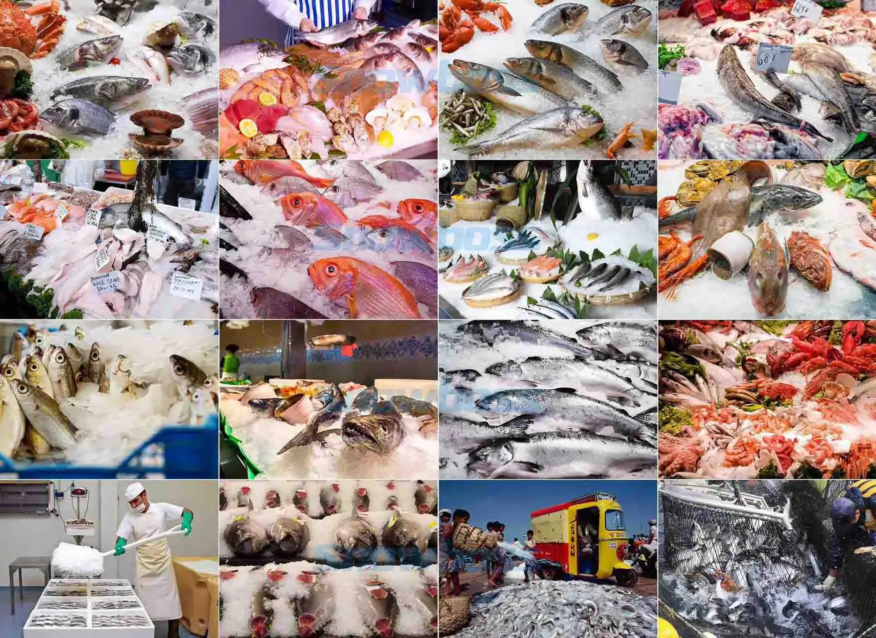 1648713249352479.jpg a9f6e8d0b690eaa739e92c28d15aa4d.jpg