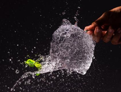 How Water Plants Turn Dirty to Pure