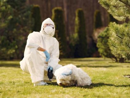 산소 가축 소독제 사용 설명서