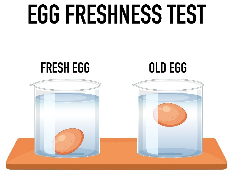 huevo flotando huevo flotando