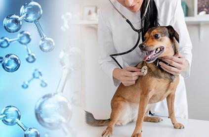 pet disinfection machine