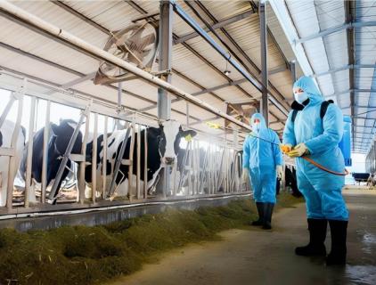 HOCl Boosts Livestock Hygiene, Supports Health & Sustainability