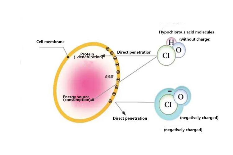 हाइपोक्लोरस तेज़ाब जेनरेटर Hypochlorous acid generator