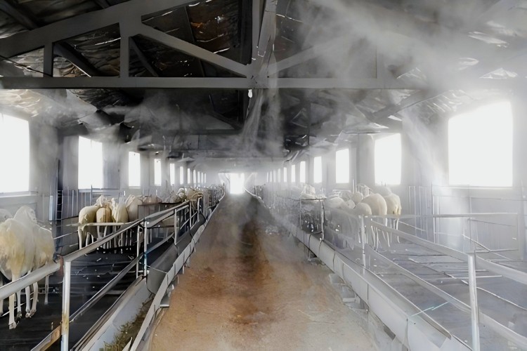 Why Hypochlorous Acid is Essential in Livestock Farming