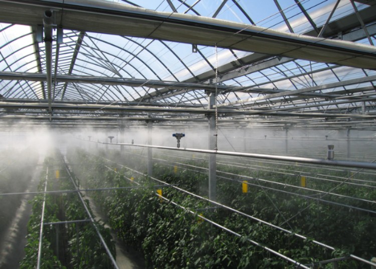 1. Agricultura e Agricultura 1. Agricultura e Agricultura