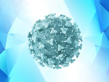 Hypochlorous Acid for Norovirus Decontamination