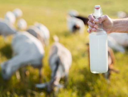 5 Best Livestock Disinfectants