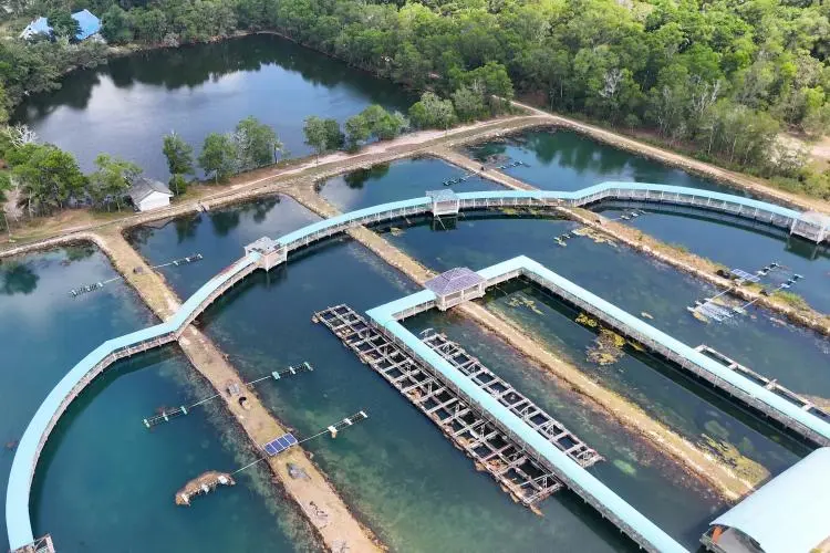 ¿Cuál es el propósito de la planta de tratamiento de agua?