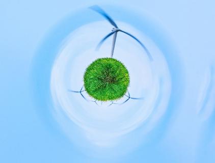 Discover the Cleansing Power of Hypochlorous Acid