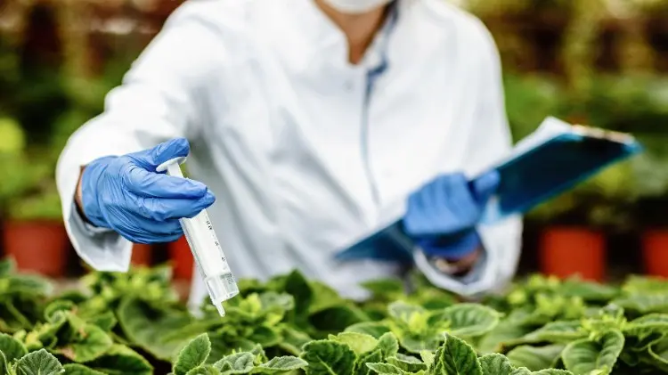 Farm Crop Disinfection Guide Farm Crop Disinfection Guide