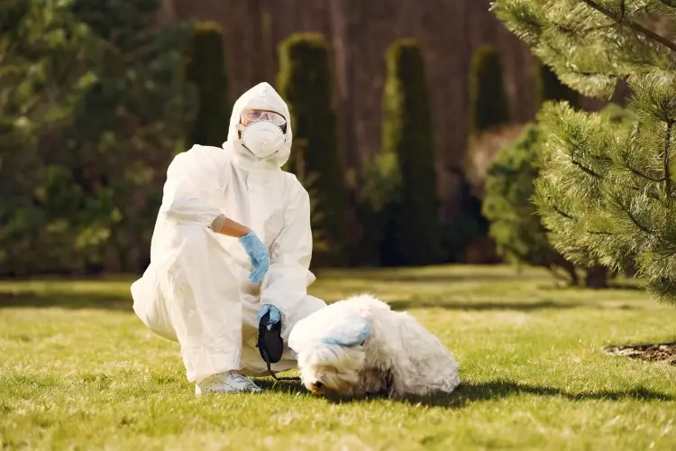 Oxygen Livestock Disinfectant Guide