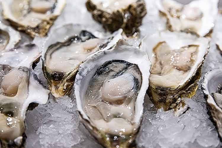 Electrolyzed Oxidizing Water (HCLO) is an ideal antimicrobial for fish and seafood processors.jpg Electrolyzed Oxidizing Water (HCLO) is an ideal antimicrobial for fish and seafood processors.jpg