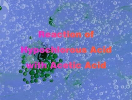 Reaction of Hypochlorous Acid with Acetic Acid
