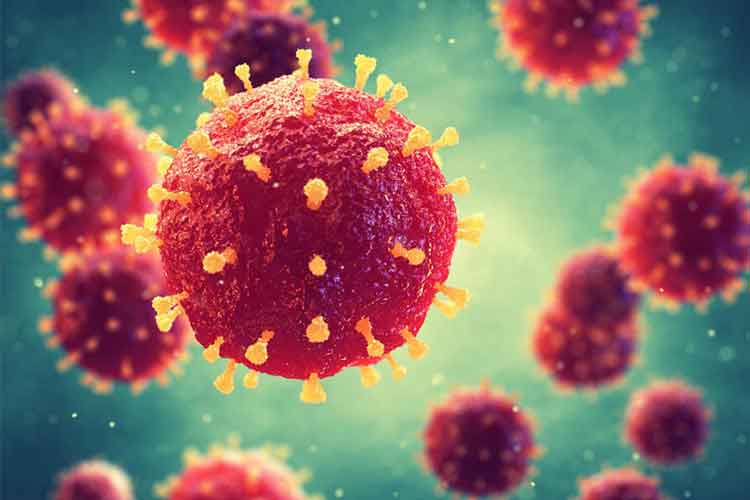 What is Coronavirus?.jpg What is Coronavirus?.jpg