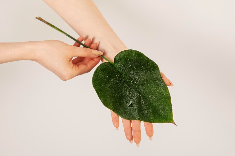 Can HOCl be used on skin Can HOCl be used on skin
