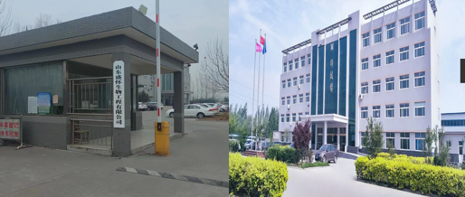 फैक्टरी उपस्थिति Factory appearance