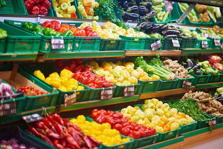 Hocl Disinfection equipment Hocl Disinfection equipment