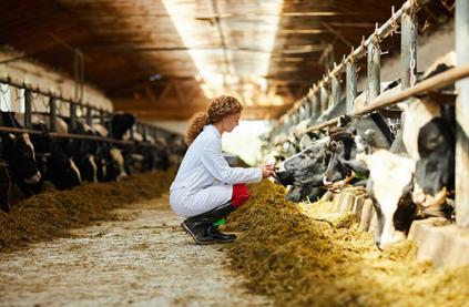 animal husbandry disinfection equipment